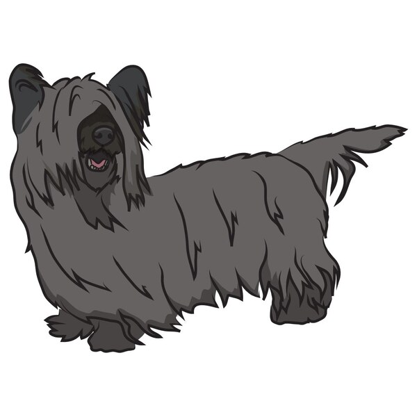 Skye Terrier Dog Decal, Dog Lover Decor Vinyl Sticker